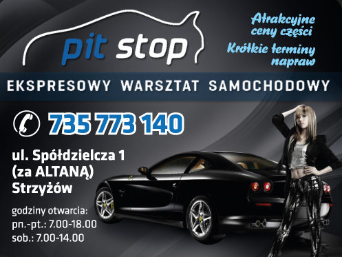 Ekspresowy Warsztat Samochodowy Pit-Stop Strzyżów - Atrakcyjne ceny części, Krótkie terminy napraw