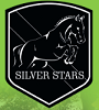 SILVER STARS