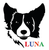 LUNA SZKOLENIE PSÓW