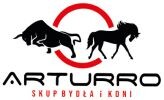 ARTURRO ARTUR DOMAGAŁA