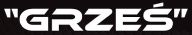 MECHANIKA POJAZDOWA "GRZEŚ" Grzegorz Ziemiński