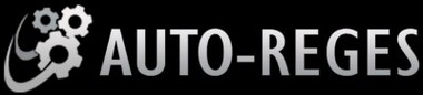 AUTO REGES Paweł Łukasz