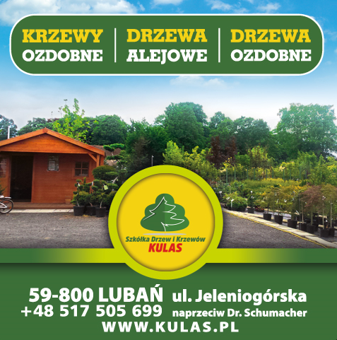 Szkółka Drzew i Krzewów KULAS Lubań