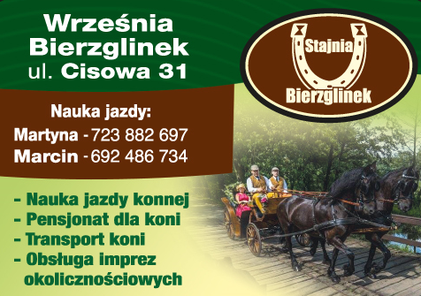 GOSPODARSTWO AGROTURYSTYCZNE Stajnia Bierzglinek- Nauka jazdy konnej,Obsługa imprez 