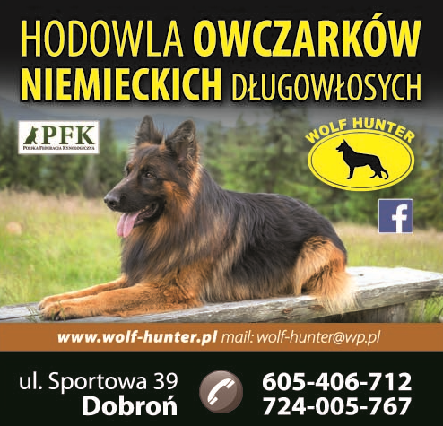 „WOLF HUNTER” Dobroń Hodowla Owczarków Niemieckich Długowłosych