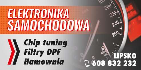 ELEKTRONIKA SAMOCHODOWA Lipsko - CHIP TUNING, FILTRY DPF, HAMOWNIA 