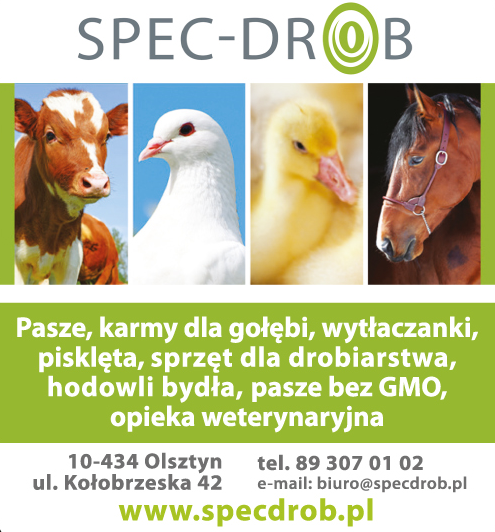 Spec-Drob Olsztyn-PASZE, KARMY DLA GOŁĘBI, WYTŁACZANKI PISKLĘTA,SPRZĘT DLA DROBIARSTWA,HODOWLA BYDŁA