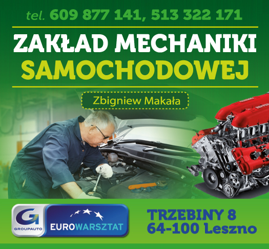 ZAKŁAD MECHANIKI POJAZDOWEJ Zbigniew Makała Trzebiny