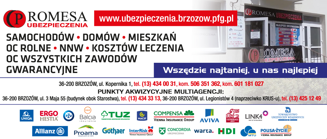PROMESA UBEZPIECZENIA Brzozów- UBEZPIECZENIA: - SAMOCHODÓW - DOMÓW - MIESZKAŃ - OC ROLNE - NNW