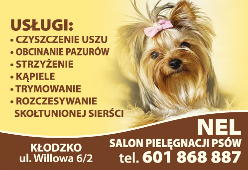 "NEL" Salon Pielęgnacji Psów Kłodzko Czyszczenie Uszu / Obcinanie Pazurów / Strzyżenie / Kąpiele