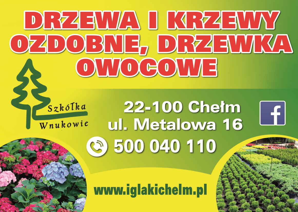 SZKÓŁKA WNUKOWIE Chełm Drzewa i Krzewy Ozdobne / Drzewka Owocowe