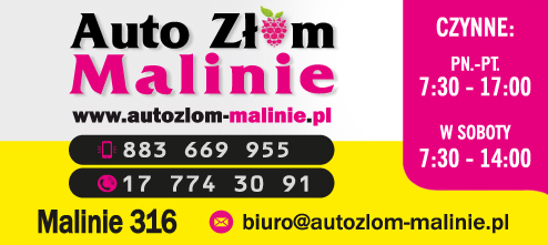 Auto Złom Malinie