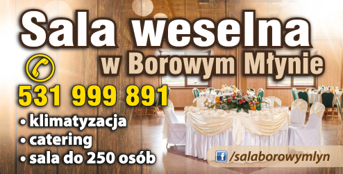 Sala Weselna w Borowym Młynie Klimatyzacja / Catering / Sala do 250 Osób