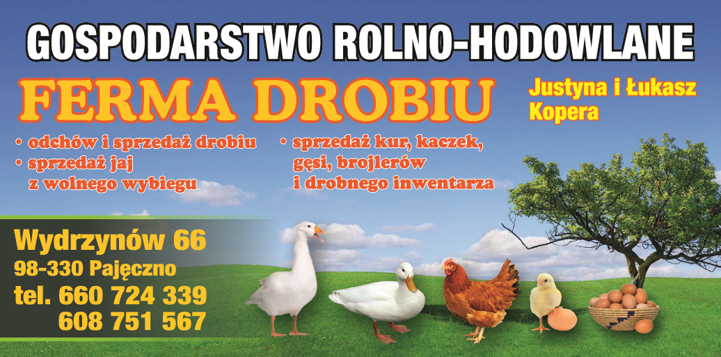 GOSPODARSTWO ROLNO- HODOWLANE Justyna i Łukasz Kopera Wydrzynów Ferma Drobiu / Sprzedaż Jaj