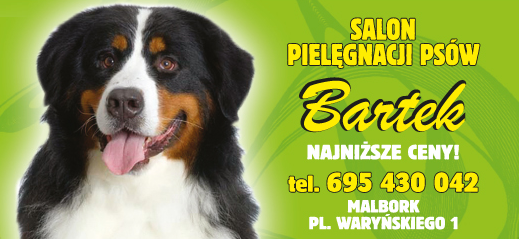"BARTEK" Malbork Salon Pielęgnacji Psów 
