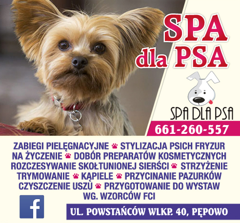 SPA DLA PSA Pępowo Zabiegi Pielęgnacyjne / Stylizacja Psich Fryzur / Strzyżenie / Kąpiele