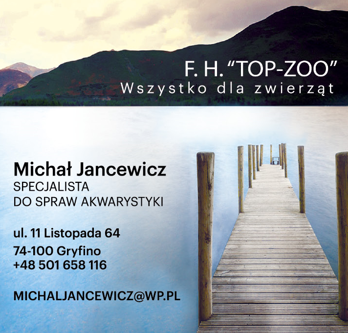 F.H. "TOP-ZOO" Wszystko Dla Zwierząt Michał Jancewicz Specjalista Do Spraw Akwarystyki