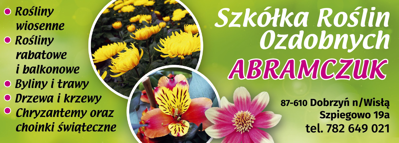 SZKÓŁKA ROŚLIN OZDOBNYCH ABRAMCZUK Szpiegowo Rośliny Wiosenne / Rabatowe / Balkonowe /Byliny i Trawy