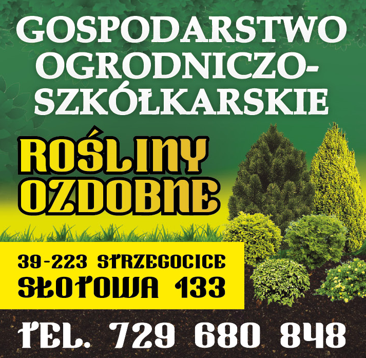 GOSPODARSTWO OGRODNICZO-SZKÓŁKARSKIE Słotowa Rośliny Ozdobne