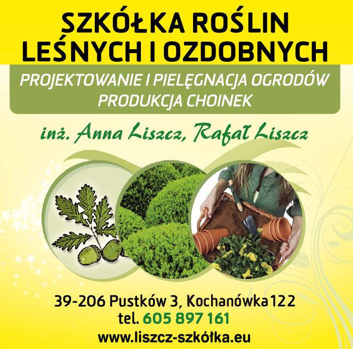 Szkółka Roślin Leśnych i Ozdobnych inż. Anna Liszcz, Rafał Liszcz Kochanówka Produkcja Choinek