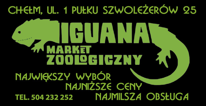 IGUANA Chełm Market Zoologiczny / Największy Wybór / Najniższe Ceny / Najmilsza Obsługa