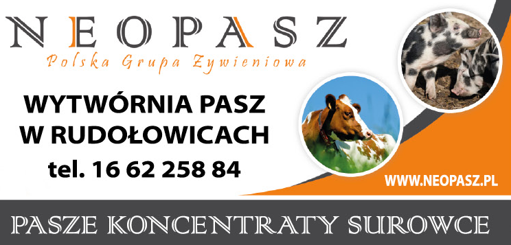 Polska Grupa Żywieniowa NEOPASZ Sp. z o.o. Wytwórnia Pasz w Rudołowicach