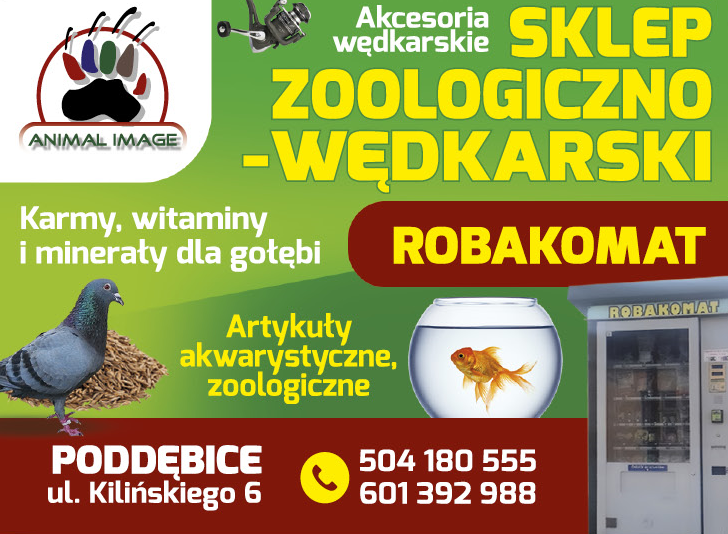  ANIMAL IMAGE Poddębice Sklep Zoologiczno-Wędkarski Akcesoria Wędkarskie / Karmy Dla Gołębi