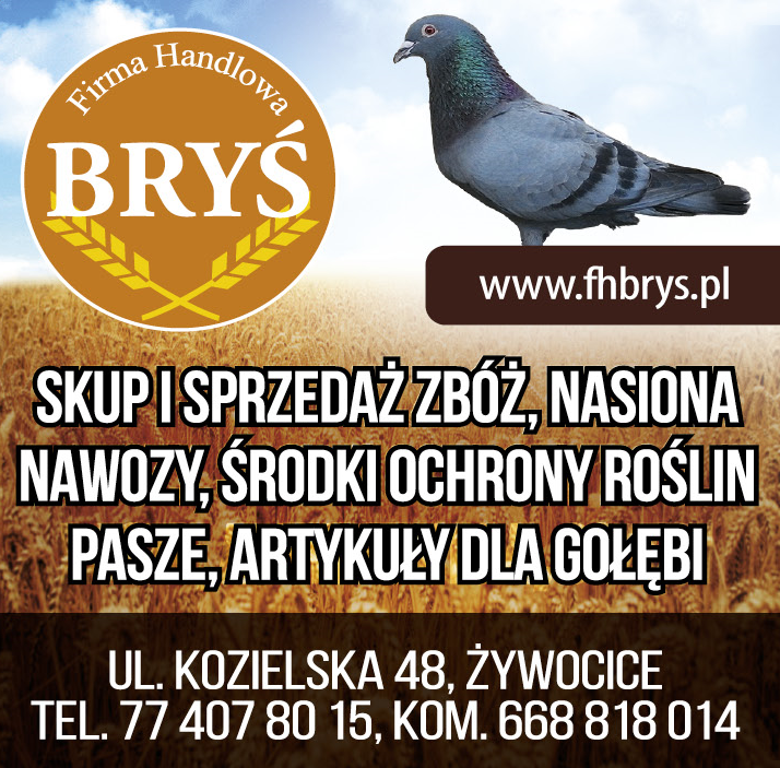 Firma Handlowa BRYŚ Żywocice Skup i Sprzedaż Zbóż / Nasiona / Nawozy / Środki Ochrony Roślin / Pasze