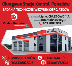 AUTO SERWIS Malinowscy Lipno Okręgowa Stacja Kontroli Pojazdów / Serwis Pojazdów